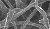 Figure 2. Natural fibre (cellulose) media magnified